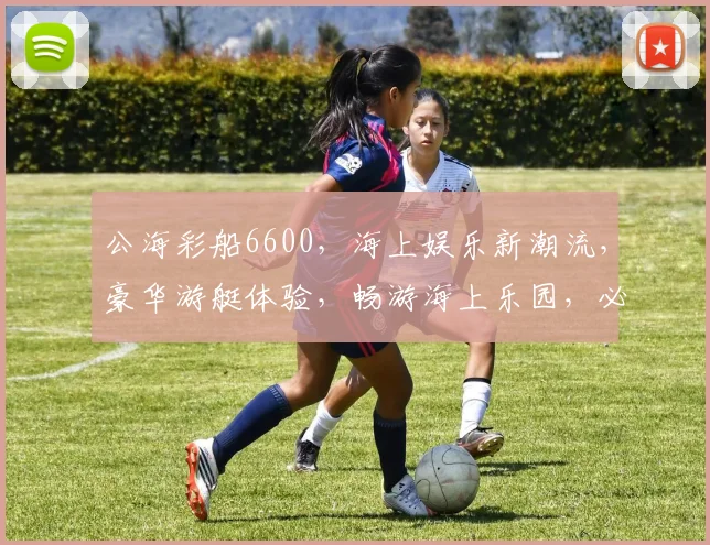 公海彩船6600，海上娱乐新潮流，豪华游艇体验，畅游海上乐园，必看攻略三重惊喜