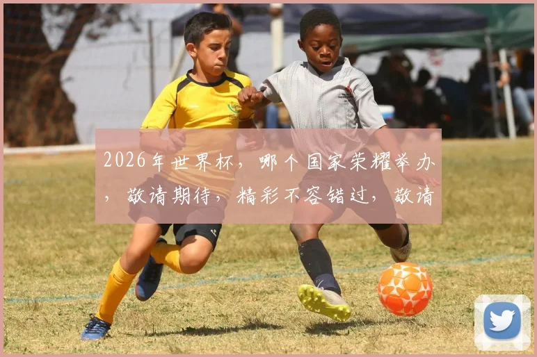 2026年世界杯，哪个国家荣耀举办，敬请期待，精彩不容错过，敬请关注