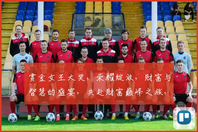 赏金女王大奖，荣耀绽放，财富与智慧的盛宴，共赴财富巅峰之旅，见证荣耀时刻