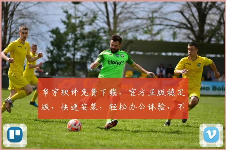 华宇软件免费下载，官方正版稳定版，快速安装，轻松办公体验，不容错过